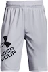 Deške kratke hlače Under Armour  Prototype 2.0 Logo Shorts gray M