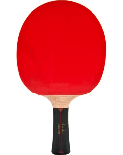 Lopar za namizni tenis Donic Schildkröt  Waldner 1000
