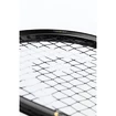 Lopar za squash Head  Graphene 360+ Speed 120 SB