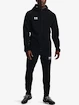 Moška bunda Under Armour
