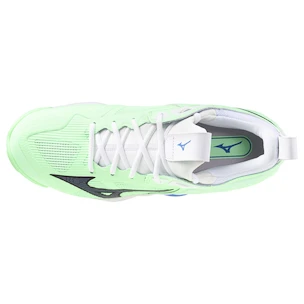 Moška dvoranska obutev Mizuno  Wave MOMENTUM 3 Neo Mint/Black  EUR 44,5