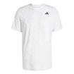Moška majica adidas  Club Tennis Climacool Graphic T-Shirt White