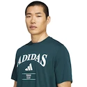 Moška majica adidas  Heritage Graphic Tee Aurora Ivy