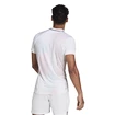 Moška majica adidas  Melbourne Freelift Polo White