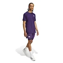 Moška majica adidas  Tennis Pro Climacool+ FreeLift T-Shirt Aurora Plum