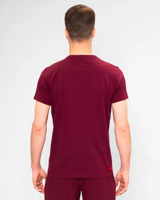 Moška majica BIDI BADU  Protected Leafs Chill Tee Bordeaux  M