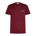 Moška majica Icebreaker Merino 150 Tech Lite SS T Sing Li Cmp Port  XL