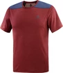 Moška majica Salomon  Outline SS Tee Cabernet