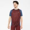 Moška majica Salomon Sense Aero SS Tee Cabernet