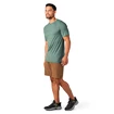 Moška majica Smartwool  Merino Sport 120 Mountain Biking Sage Heather