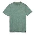 Moška majica Smartwool  Merino Sport 120 Mountain Biking Sage Heather