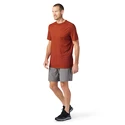 Moška majica Smartwool  Merino Sport 150 Tech Tee Picante