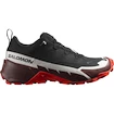 Moška obutev Salomon Cross Hike GTX 2