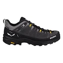 Moška obutev za uporabo na prostem Salewa ALP Trainer 2 Gtx M Onyx/Black  UK 10