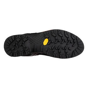 Moška obutev za uporabo na prostem Salewa  MS MTN Trainer 2 Gtx Black/Carrot