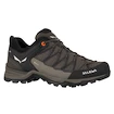 Moška obutev za uporabo na prostem Salewa MS MTN Trainer Lite Gtx  Wallnut/Fluo Orange