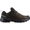 Moška obutev za uporabo na prostem Salomon Leather Gore-Tex Dark Earth/Delicioso/Sharkskin  UK 10