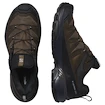 Moška obutev za uporabo na prostem Salomon X Ultra 360 Leather Gore-Tex Dark Earth/Delicioso/Sharkskin