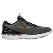 Moška tekaška obutev Mizuno 2 Frost Gray