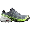 Moška tekaška obutev Salomon 6 Gtx Flint/Grgeck/Black