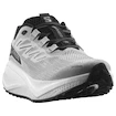 Moška tekaška obutev Salomon Aero Blaze 3 GRVL Lunar Rock/White/Black