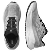 Moška tekaška obutev Salomon Aero Blaze 3 GRVL Lunar Rock/White/Black