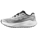 Moška tekaška obutev Salomon Aero Blaze 3 GRVL Lunar Rock/White/Black