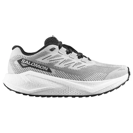 Moška tekaška obutev Salomon Aero Blaze 3 GRVL Lunar Rock/White/Black