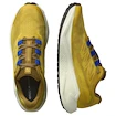 Moška tekaška obutev Salomon Aero Blaze 3 GRVL Spicy Mustard/Vanilla Ice/Nautical Blue
