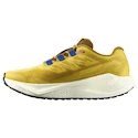 Moška tekaška obutev Salomon Aero Blaze 3 GRVL Spicy Mustard/Vanilla Ice/Nautical Blue
