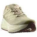 Moška tekaška obutev Salomon Aero Glide 3 GRVL Green Haze/Vanilla Ice/Russet