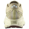 Moška tekaška obutev Salomon Aero Glide 3 GRVL Green Haze/Vanilla Ice/Russet