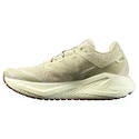 Moška tekaška obutev Salomon Aero Glide 3 GRVL Green Haze/Vanilla Ice/Russet