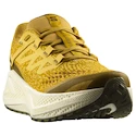 Moška tekaška obutev Salomon Aero Glide 3 GRVL Spicy Mustard/Vanilla Ice/Deep Lichen Green