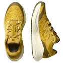 Moška tekaška obutev Salomon Aero Glide 3 GRVL Spicy Mustard/Vanilla Ice/Deep Lichen Green