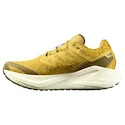 Moška tekaška obutev Salomon Aero Glide 3 GRVL Spicy Mustard/Vanilla Ice/Deep Lichen Green
