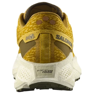 Moška tekaška obutev Salomon Aero Glide 3 GRVL Spicy Mustard/Vanilla Ice/Deep Lichen Green