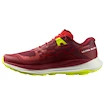 Moška tekaška obutev Salomon Biking Red/Lunar Rock