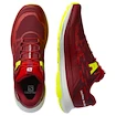 Moška tekaška obutev Salomon Biking Red/Lunar Rock