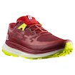 Moška tekaška obutev Salomon Biking Red/Lunar Rock