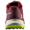 Moška tekaška obutev Salomon Biking Red/Lunar Rock