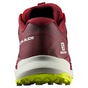 Moška tekaška obutev Salomon Biking Red/Lunar Rock