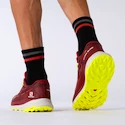Moška tekaška obutev Salomon Biking Red/Lunar Rock