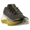 Moška tekaška obutev Salomon DRX Defy Grvl Wren/Spicy Mustard/Vanilla Ice