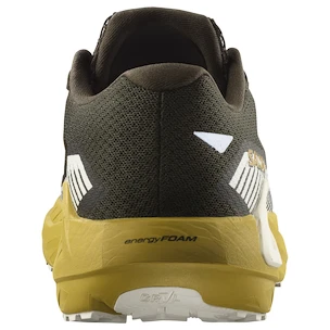 Moška tekaška obutev Salomon DRX Defy Grvl Wren/Spicy Mustard/Vanilla Ice
