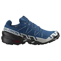 Moška tekaška obutev Salomon Speedcross 6 Gore-Tex Poseidon/Black/Lunar Rock