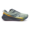 Moška tekaška obutev Saucony 22 Gtx Sage/Carbon  UK 10,5