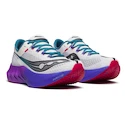 Moška tekaška obutev Saucony Endorphin Pro 4 White/Shadow