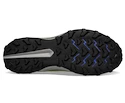 Moška tekaška obutev Saucony  Peregrine 13 Glade/Black