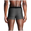Moške boksarice Under Armour Perf Tech 3in Grey